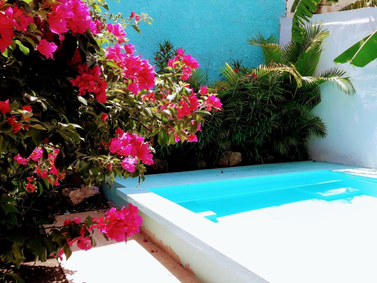 CASA BUGAMBILIAS 44 MERIDA (Mexico) - from US$ 65 | BOOKED